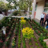 رسیدگی گل درمحل گیاه پزشک تعویض خاک گلدان باغچه