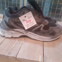 کتانی|کیف، کفش، کمربند|شیروان (خراسان), |دیوار