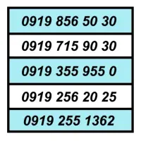 0919.23.26.206|سیمکارت|تهران, اکباتان|دیوار