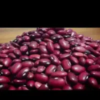 لوبیا قرمز