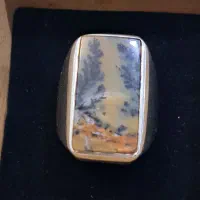 انگشتر نقره شجر منظره