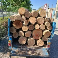خرید چوبهای باغبانی و هیزمی هرس|خدمات باغبانی و درختکاری|کرج, کمالشهر|دیوار