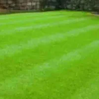 چمن مصنوعی آسیا|مصالح و تجهیزات ساختمان|مشهد, حجاب (شهرک غرب)|دیوار