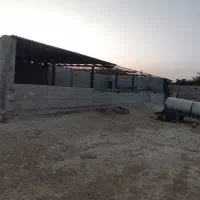 فروش دامداری