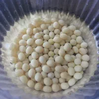 ح.لزون مول.د|خزنده|تهران, شکوفه|دیوار