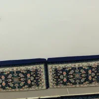 یک جفت پستی نو
