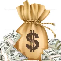 پرداخت سرمایه شخصی