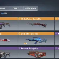 اکانت کالاف دیوتی لول ۳۰۰