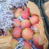 سیب درختی|خوردنی و آشامیدنی|کرج, ساسانی (قلمستان)|دیوار