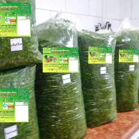 قورمه سبزی آخر فصل