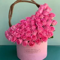 راهنمایی میخواستم