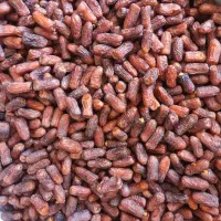 خرمای پیارم درجه یک