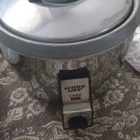 پلوپز برقی