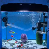 آکواریوم شرکتی