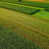 زمین کشاورزی زنجان یوسف اباد