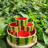 کاسه ۷تیکه سرامیکی هندونه|ظروف سرو و پذیرایی|رشت, هلال احمر|دیوار