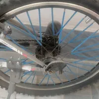 دوچرخه|دوچرخه، اسکیت، اسکوتر|قم, انصار‌الحسین|دیوار