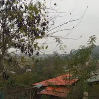 زمین مسکونی گیلان|فروش زمین و ملک کلنگی|گوراب زرمیخ, |دیوار