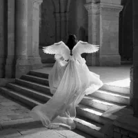 فرشتگان فال