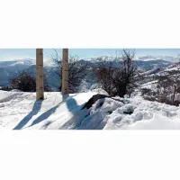 فروش ۱۰۰متر زمین آلاشت