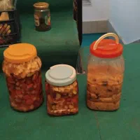 ترشی .. لیته .. هفت بیجار