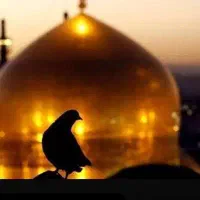 زیارت ،گردشگری ،مسافرت .