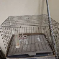 قفس پرنده سایز بزرگ