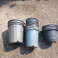 گلدان|گل و گیاه طبیعی|رشت, منظریه|دیوار