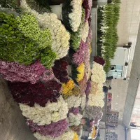 حسابدار خانم