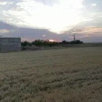 زمین کشاورزی و باغ|فروش دفتر صنعتی، کشاورزی، تجاری|کبودرآهنگ, |دیوار