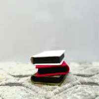 مینی آلبوم عکس|تابلو، نقاشی، عکس|قم, شاه ابراهیم|دیوار