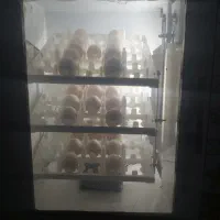 دستگاه جوجه کشی فاخته