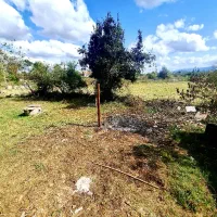 یه ملک بخر دوتا ببر ، میگی نه توضیحات رو بخون|فروش خانه و ویلا|رشت, بازار|دیوار