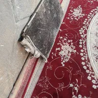 رادیات کولر تیبا