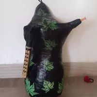 نی انبان حرفه ای