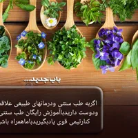 آموزش رایگان ویژه بانوان