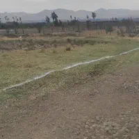 ۵ من محلی فقط ۲۵۰ میلیون فقط امروز ارزون میدم|فروش زمین و ملک کلنگی|مراغه, |دیوار