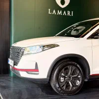 لاماری لاماکو فلو