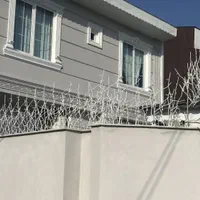 حفاظ شاخ گوزنی|مصالح و تجهیزات ساختمان|تالش, هشتپر|دیوار