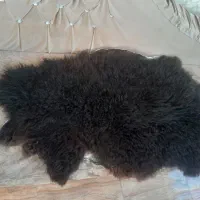 زیر انداز پشمی *تبریز|روفرشی|تهران, جهاد|دیوار