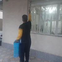 سمپاشی سوسک سم پاشی موریانه