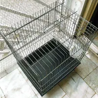 قفس پرنده