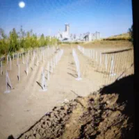 فنس کشی|خدمات باغبانی و درختکاری|نوشین شهر, |دیوار