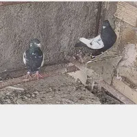 800000