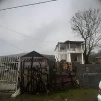 ویلای جنگلی بر اصلی آسفالت