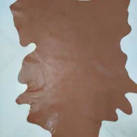 دوتکه چرم طبیعی صل اصل|کیف، کفش، کمربند|شهرکرد, |دیوار