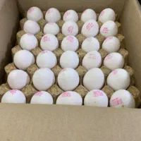 تخم مرغ عمده