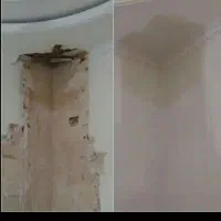 گچکاری و لکه گیری|خدمات پیشه و مهارت|شاهرود, |دیوار