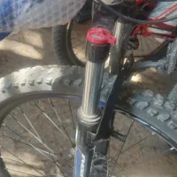 دو چرخه فونیکس|دوچرخه، اسکیت، اسکوتر|فولادشهر, B1|دیوار