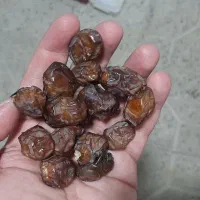 رطب خاصویی، خرمای خاصویی، خرما آجیلی خاصویی|خوردنی و آشامیدنی|تهران, دانشگاه شریف|دیوار